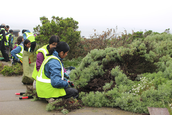 youth volunteering in nature